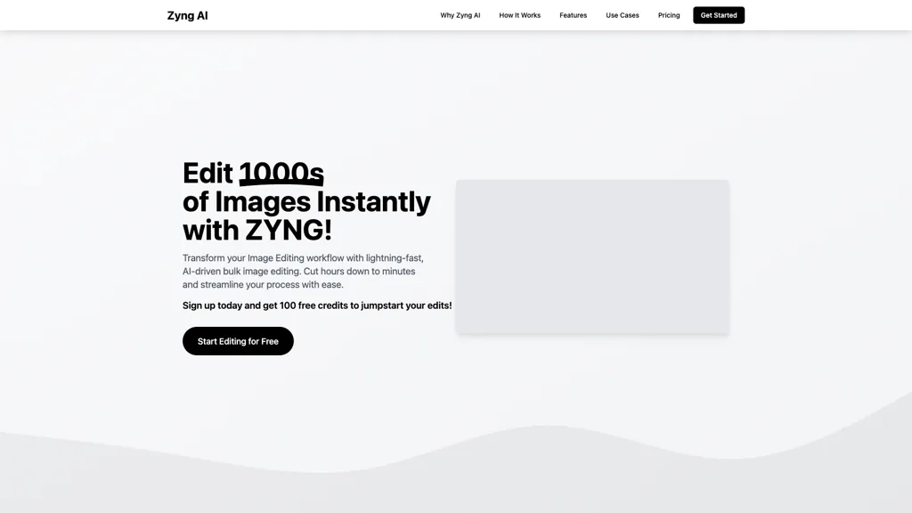 Zyng AI screenshot
