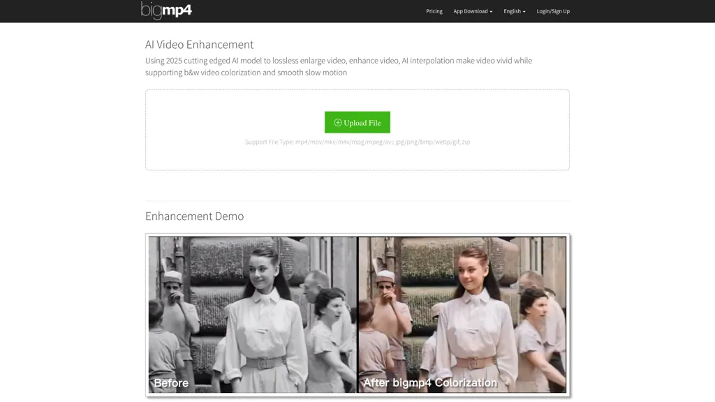 bigmp4 screenshot