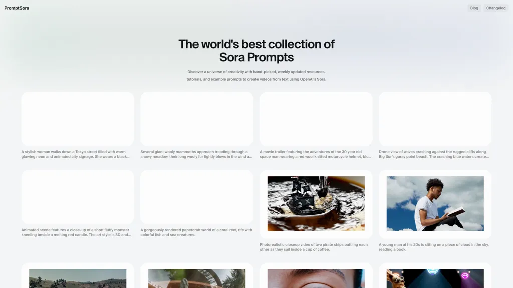 PromptSora screenshot