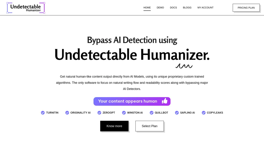 Undetectable AI Humanizer screenshot