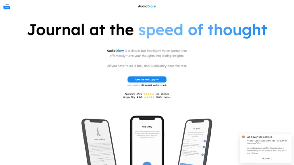 Audio Diary screenshot