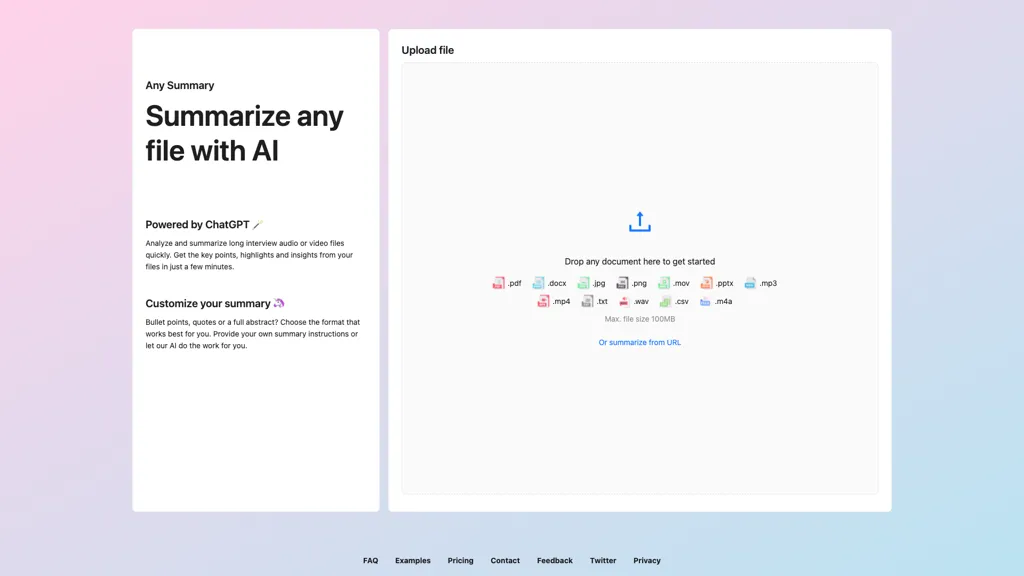 AnySummary screenshot