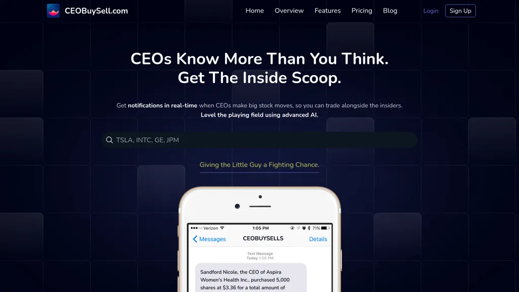 CEOBuySell.com screenshot