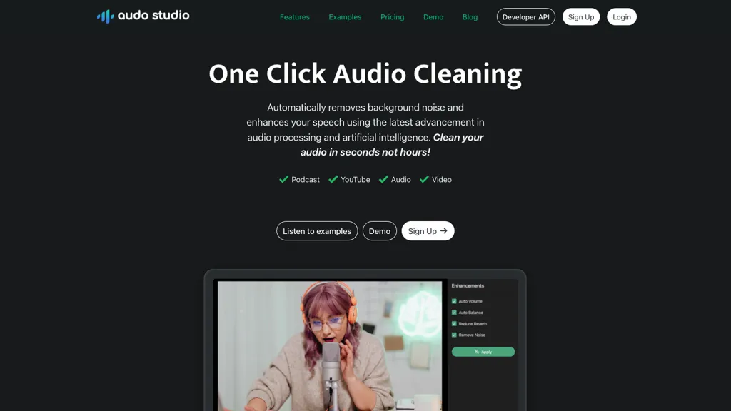Audo AI screenshot