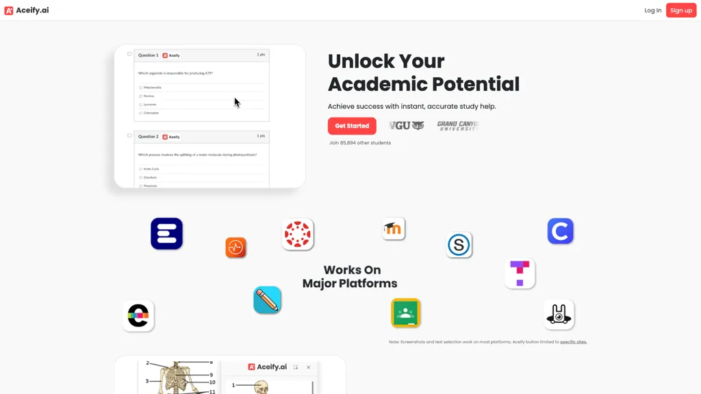 Aceify.ai screenshot