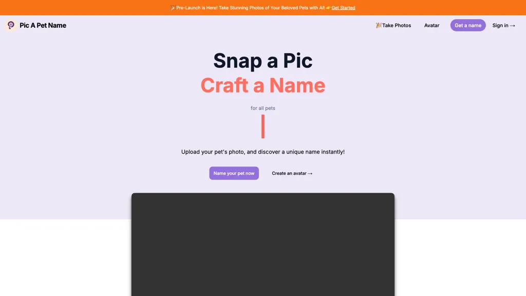 Pic A Pet Name screenshot